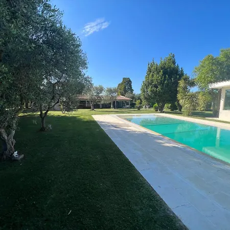 Miky Trulli & Pool * Gioia Del Colle