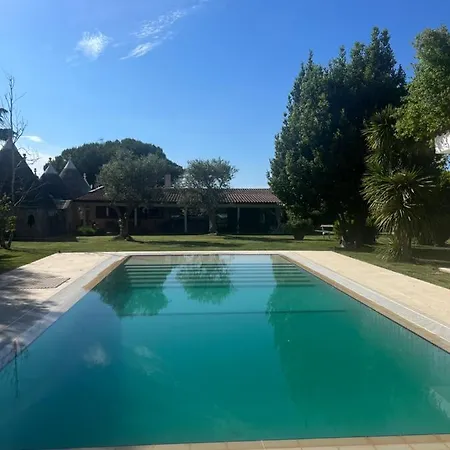 Miky Trulli & Pool *
